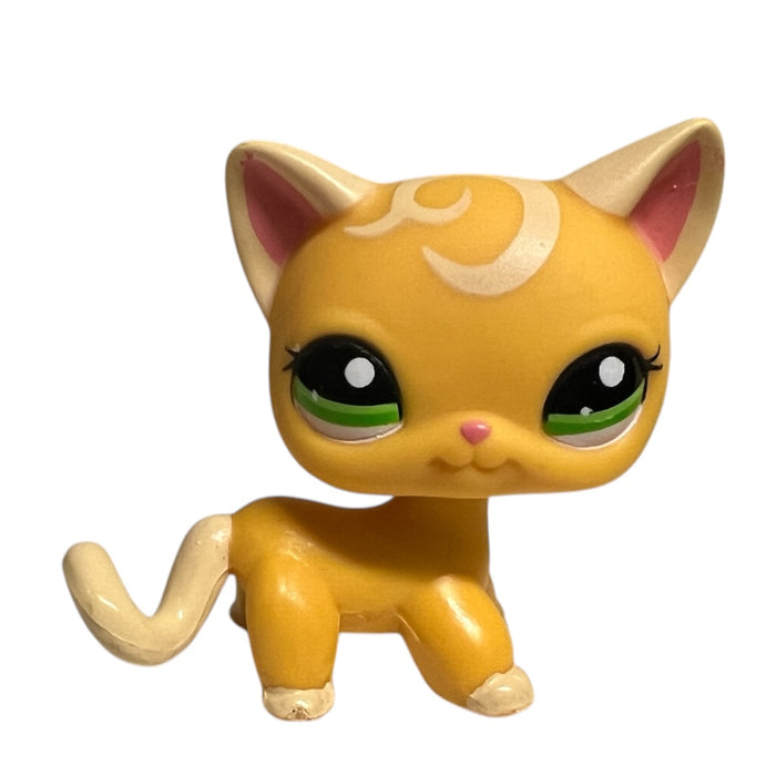 Littlest Petshop seisova Kissa #2194 - Second Hand