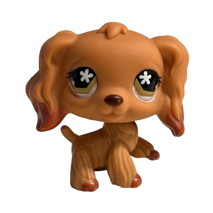 Littlest Petshop Cockerspanieli #716