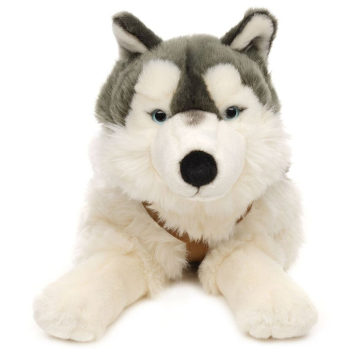 Husky suuri koira pehmolelu 60cm