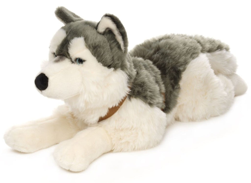 Husky suuri koira pehmolelu 60cm