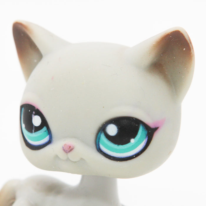 Littlest Petshop seisova Kissa #391