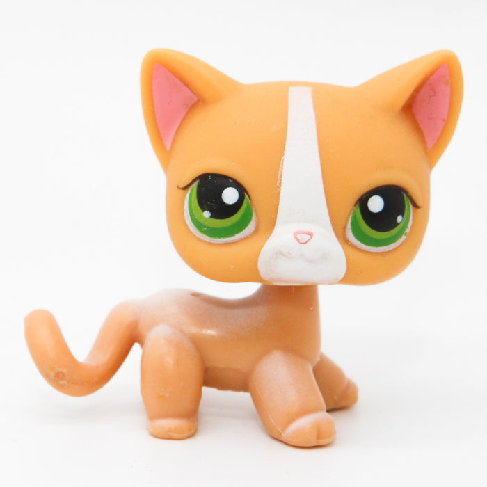 Littlest Petshop seisova Kissa #72