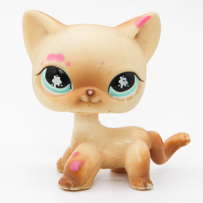 Littlest Petshop seisova Kissa #816