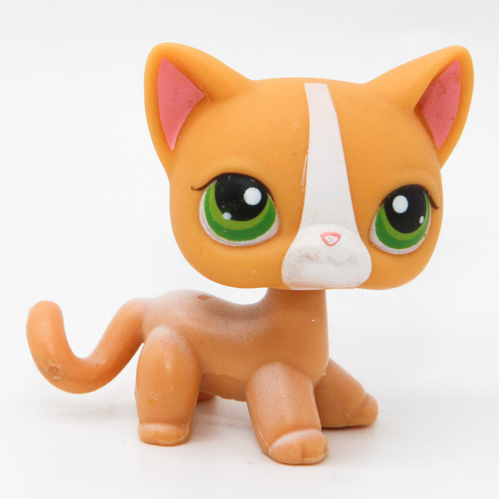 Littlest Petshop seisova Kissa #72