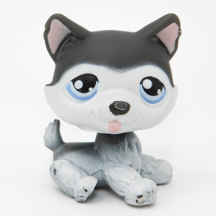 Littlest Petshop Husky #210