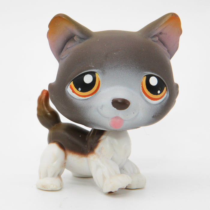 Littlest Petshop Husky koira #174