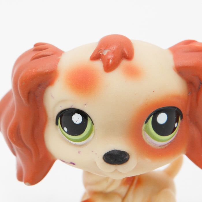 Littlest Petshop Cockerspanieli #no