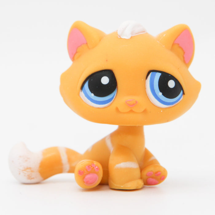 Littlest Petshop Kissa pentu #349