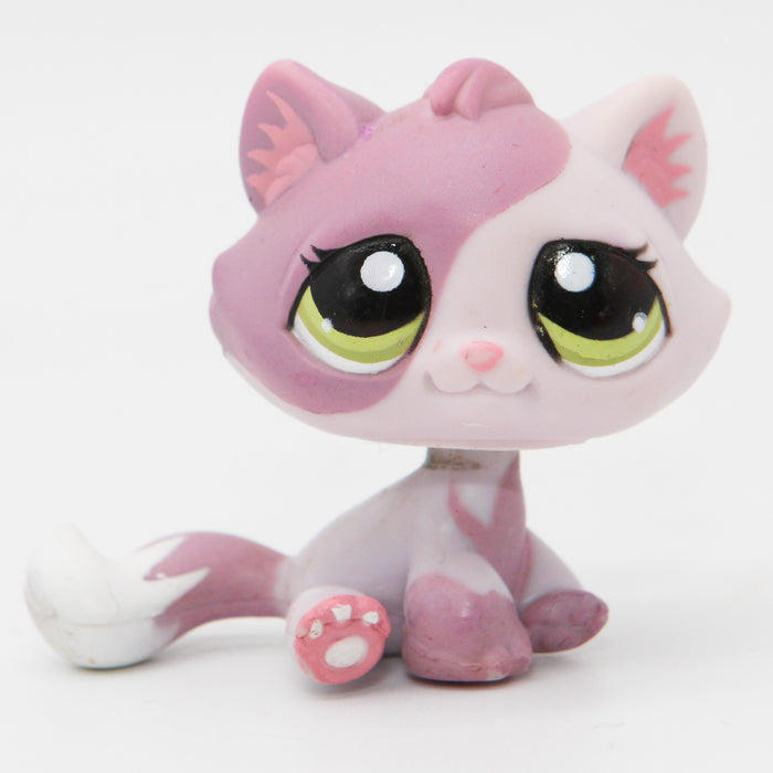 Littlest Petshop Kissa pentu #1660