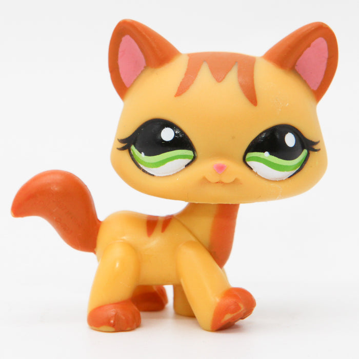 Littlest Petshop Kissa #1137