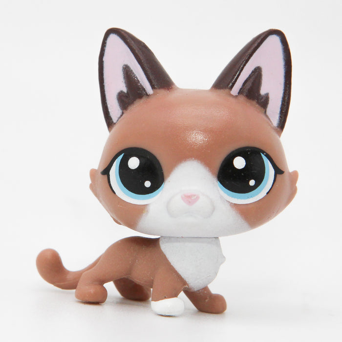 Littlest Petshop Kissa pentu