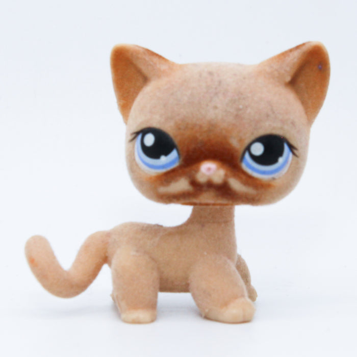 Littlest Petshop seisova  Kissa #318