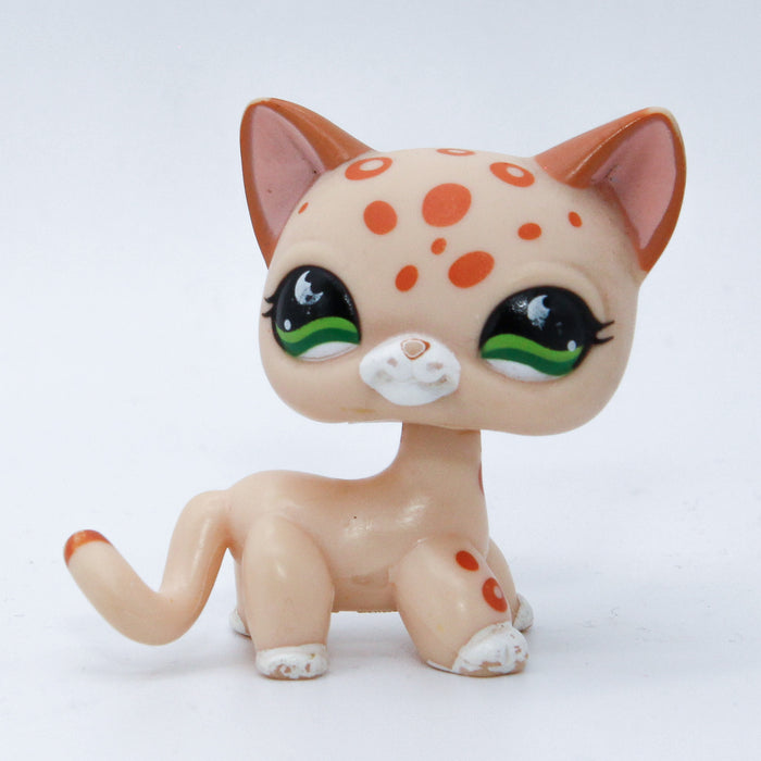 Littlest Petshop seisova Kissa #852