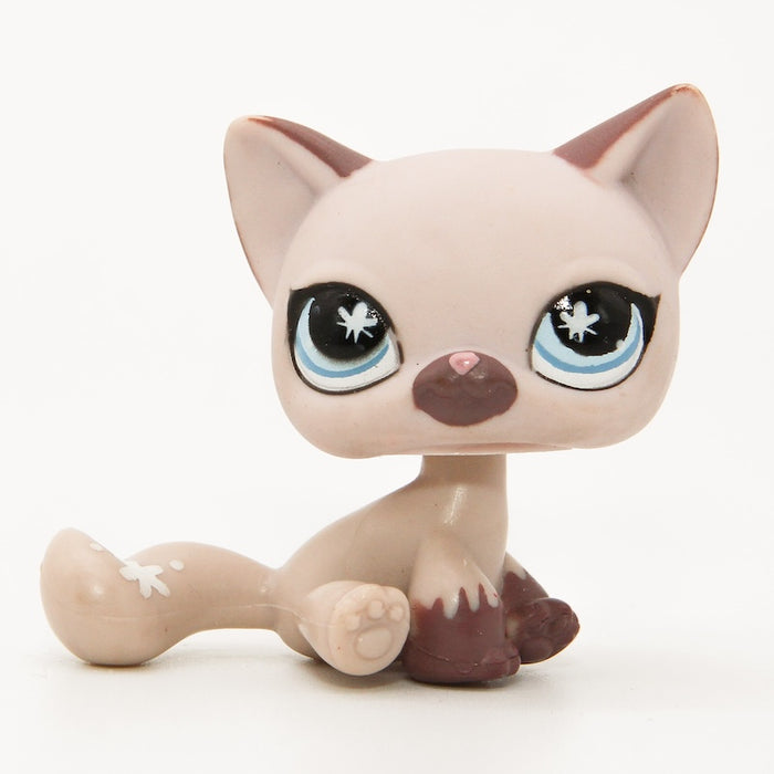 Littlest Petshop Kissa #664