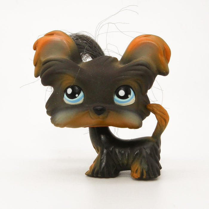 Littlest Petshop Shi Tsu koira #141