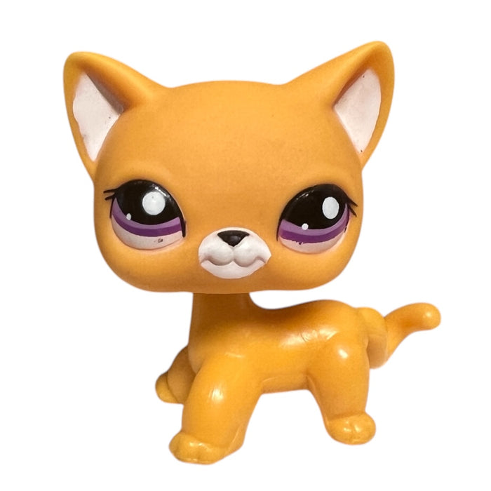 Littlest Petshop seisova Kissa #2433 - Second Hand