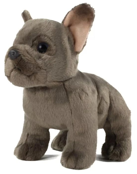 Ranskan Bulldog koira pehmolelu 26cm