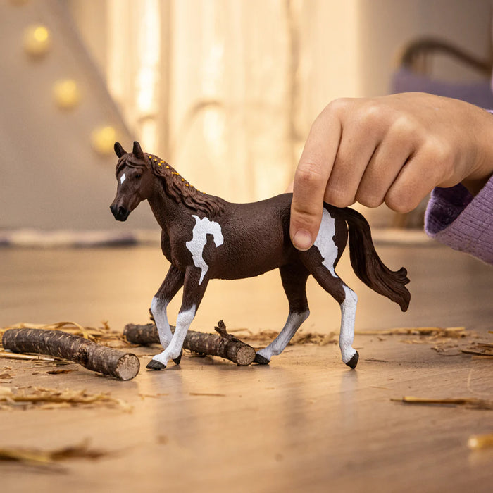 Schleich 14901 Paint hevonen, tamma - Ennakkotilaus tuote!