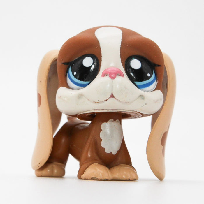 Littlest Petshop Basset koira #1655