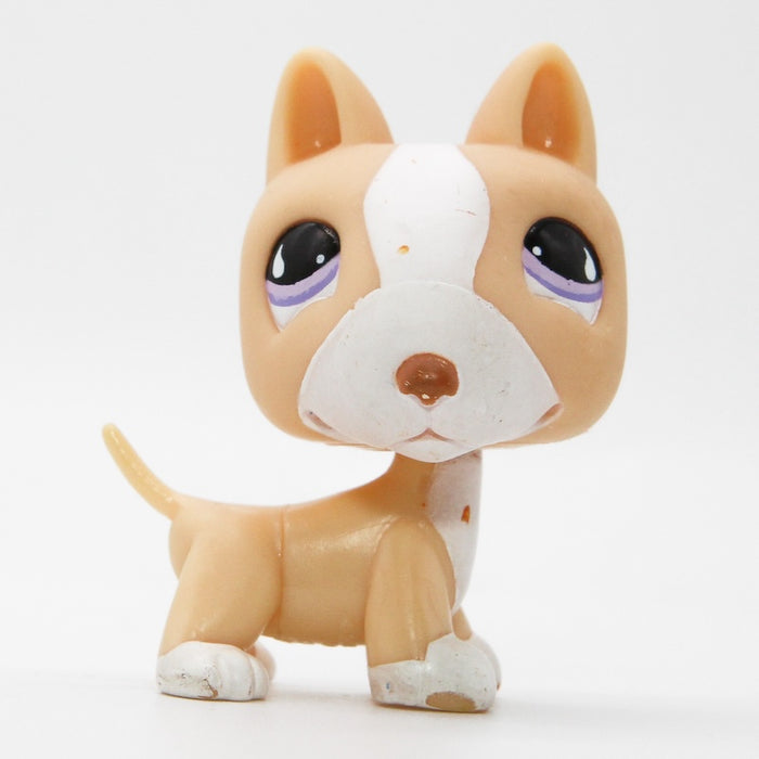 Littlest Petshop Bullterrieri #860