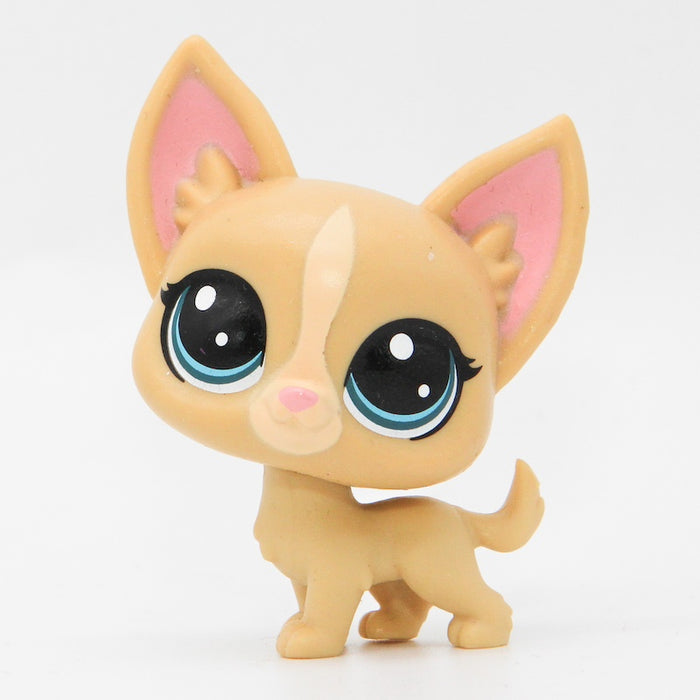 Littlest Petshop Chihuahua #92