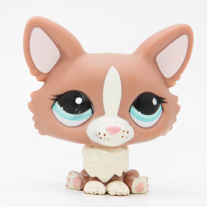 Littlest Petshop Corgi koira #1864