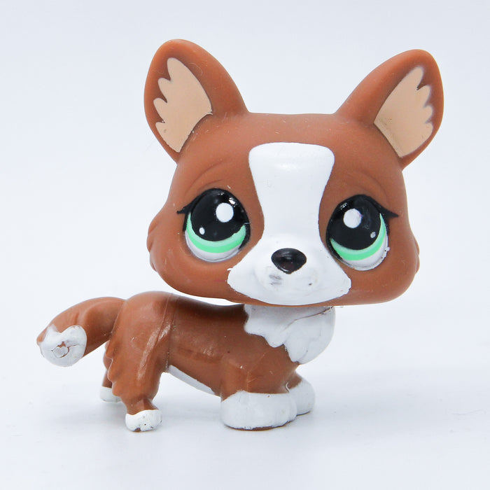 Littlest Petshop Corgi koira #2150