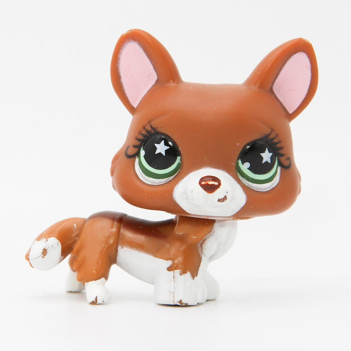 Littlest Petshop Corgi koira #897