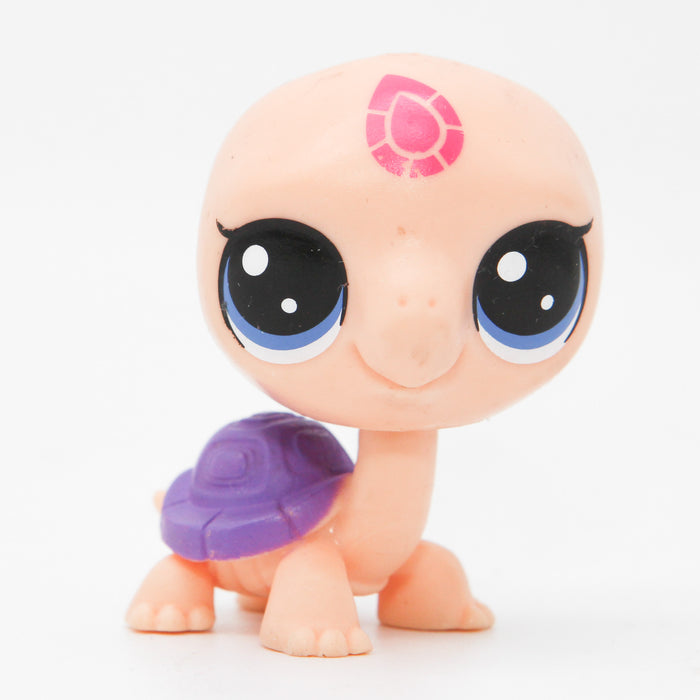 Littlest Petshop Kilpikonna #no