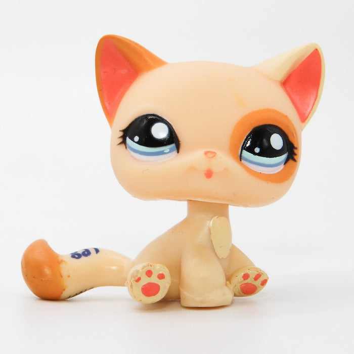 Littlest Petshop Kissa #1521