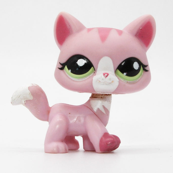 Littlest Petshop Kissa #1788