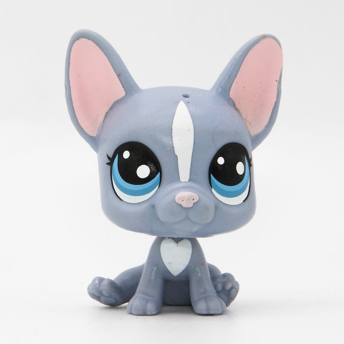 Littlest Petshop Ranskan Bulldog koira #62