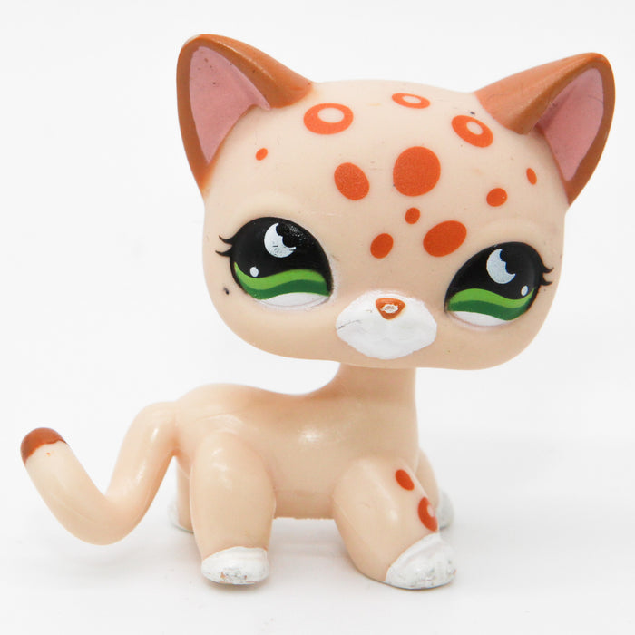 Littlest Petshop seisova Kissa #852