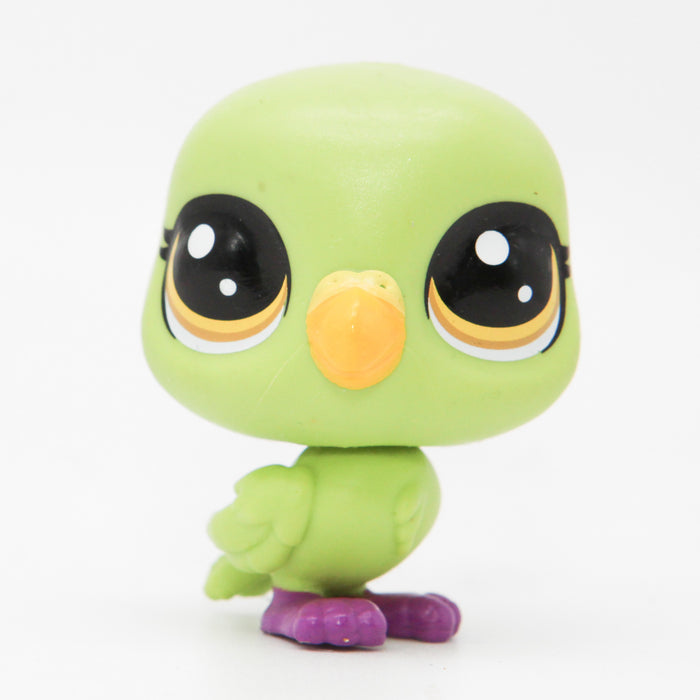 Littlest Petshop Undulaatti #no