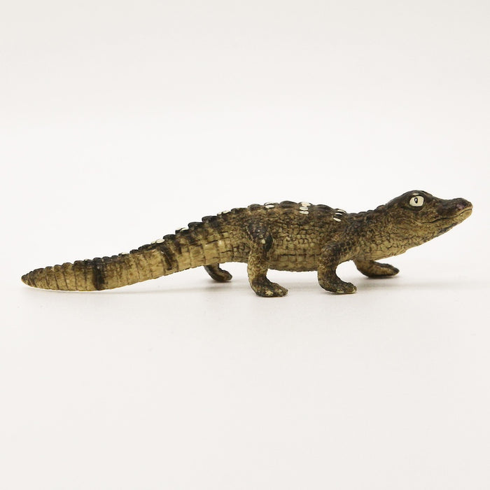 Schleich Alligaattori poikanen 14728 - Second Hand