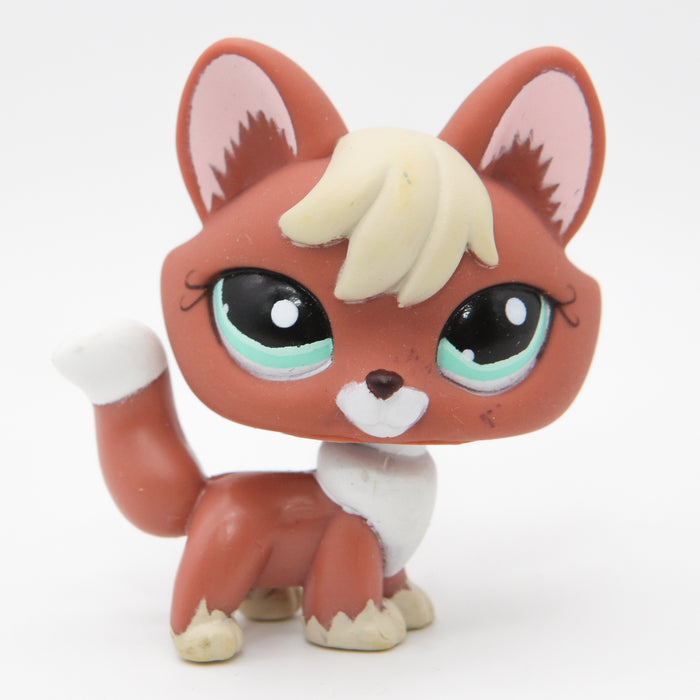 Littlest Petshop Kettu #1126