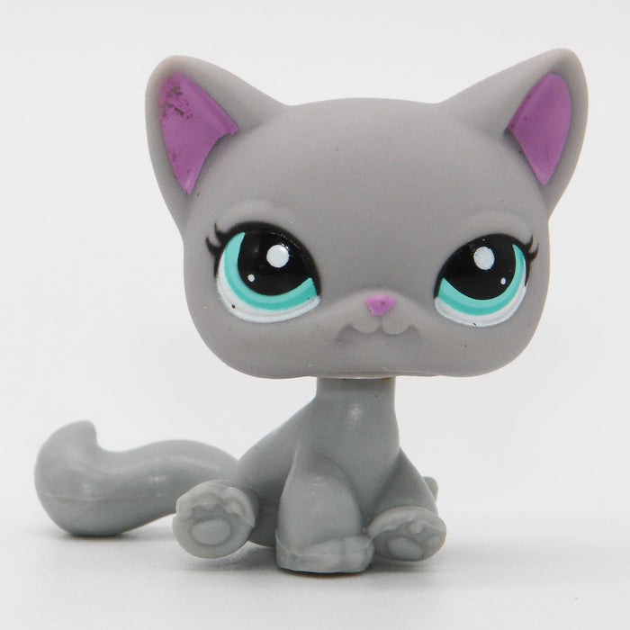 Littlest Petshop Kissa #2185