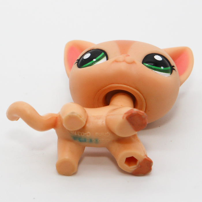 Littlest Petshop seisova Kissa #1764