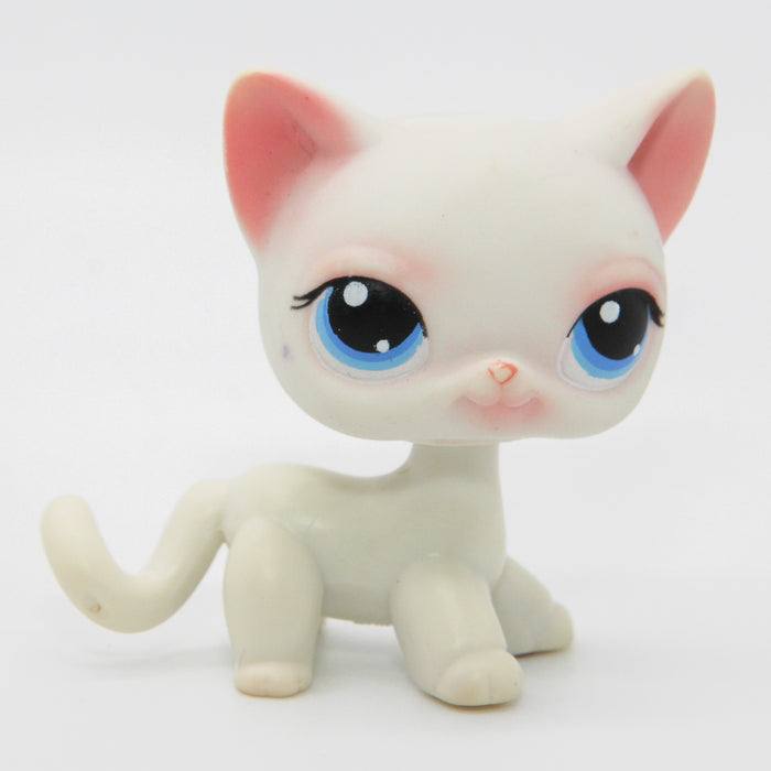 Littlest Petshop seisova Kissa #64