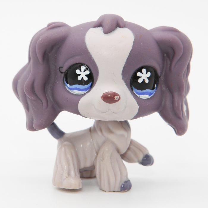 Littlest Petshop Cockerspanieli #672