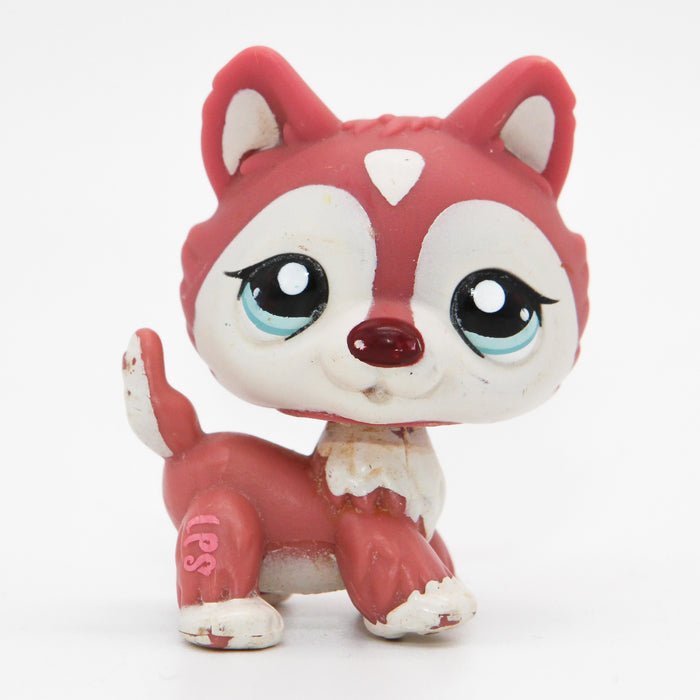 Littlest Petshop Husky #1793