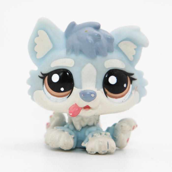 Littlest Petshop Husky pentu #1683