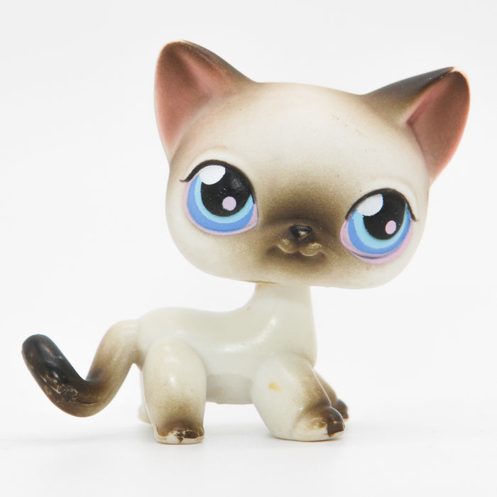 Littlest Petshop Siamilainen Kissa #5