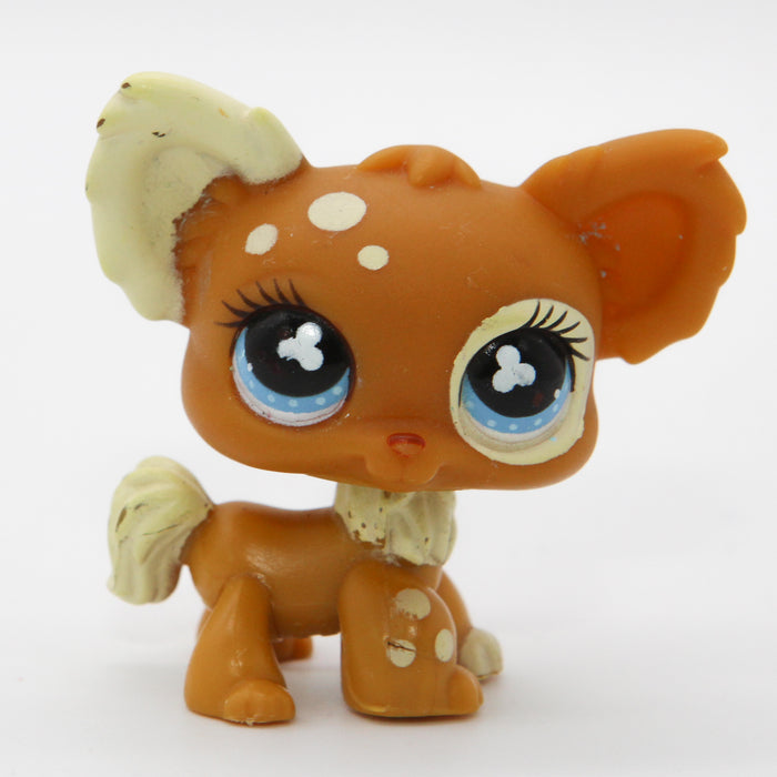 Littlest Petshop Chihuahua #731