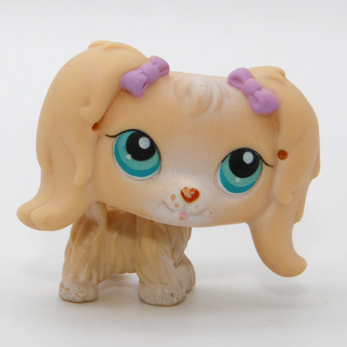 Littlest Petshop Maltan koira #175 - Second Hand