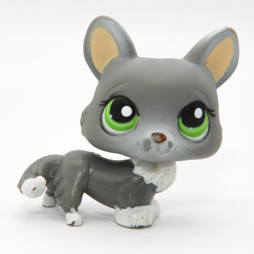 Littlest Petshop Corgi koira #367 - Elli