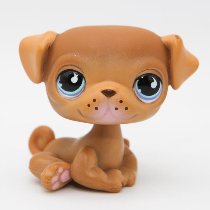 Littlest Petshop Mopsi #786