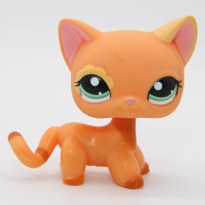 Littlest Petshop seisova Kissa #1643