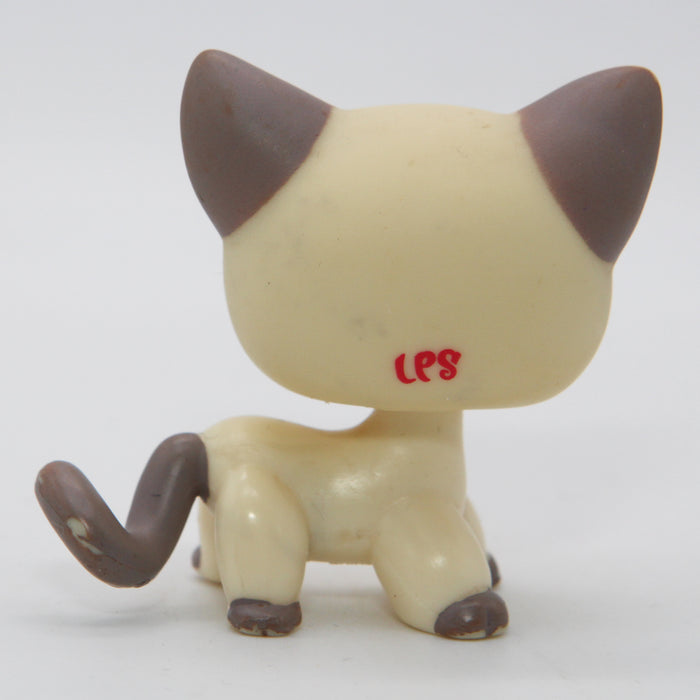 Littlest Petshop Siamialainen Kissa #1116