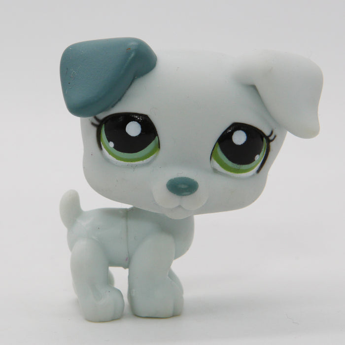 Littlest Petshop Jack Russell #1426